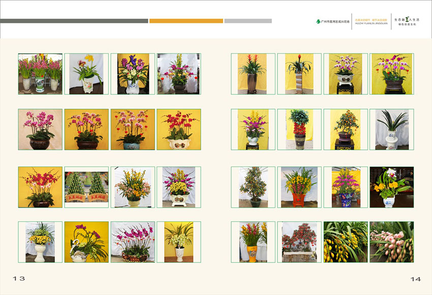 廣州花場(chǎng)苗木畫(huà)冊(cè)設(shè)計(jì),花場(chǎng)苗木畫(huà)冊(cè)設(shè)計(jì)公司